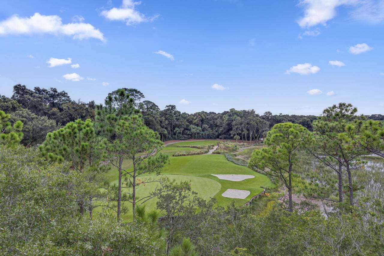 Marsh Hawk - Image 60