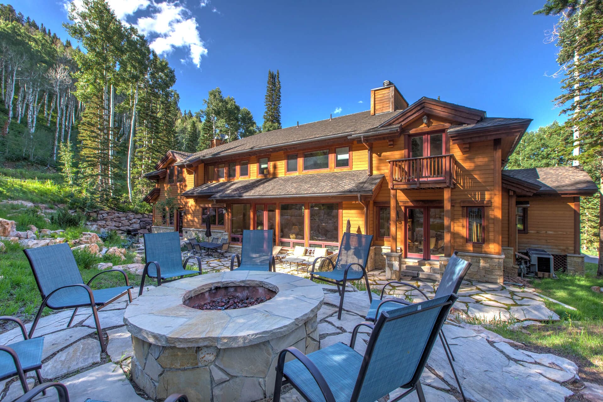 White Pine #129 - Image 1