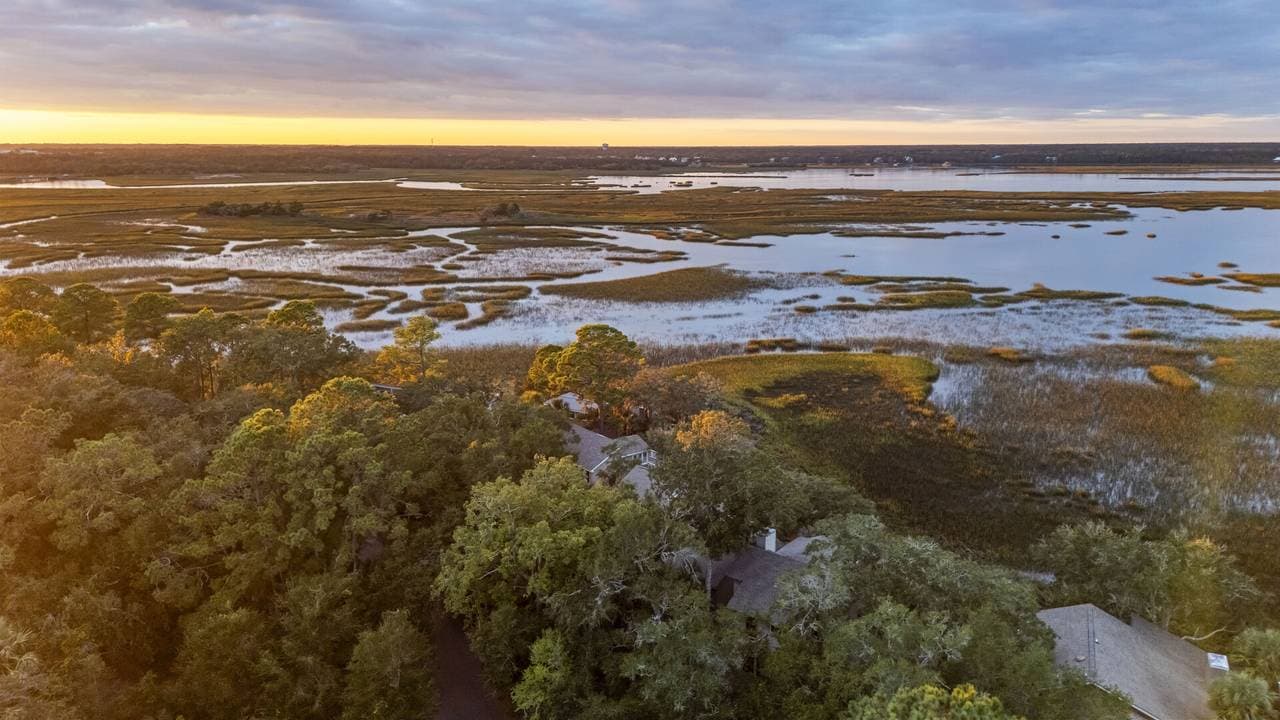 Marsh Hawk - Image 68