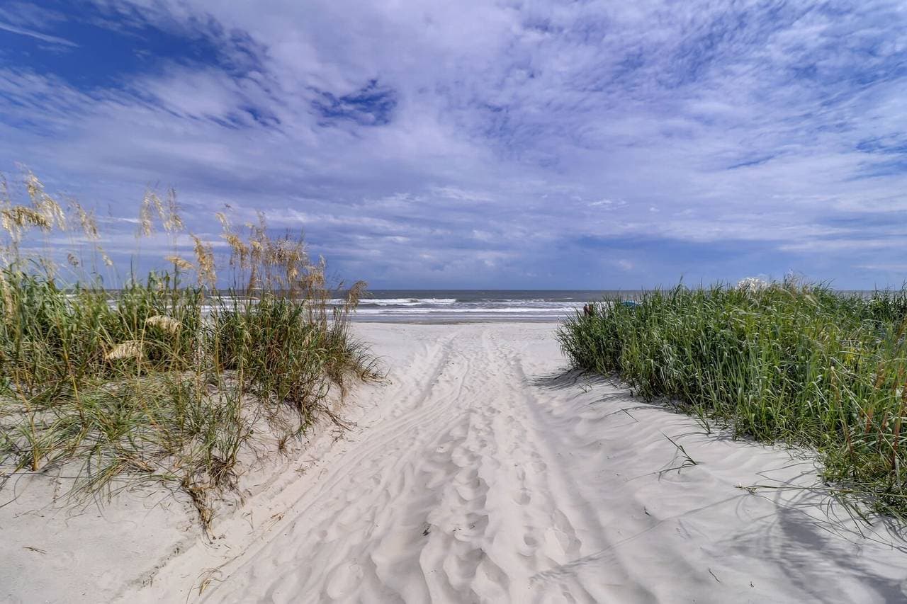 Blue Heron Pond - Image 63