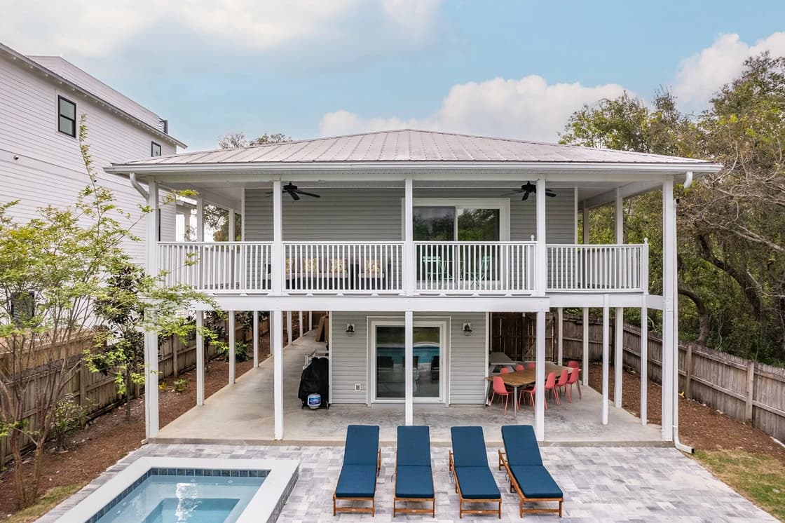 Dolphin Days - Image 24