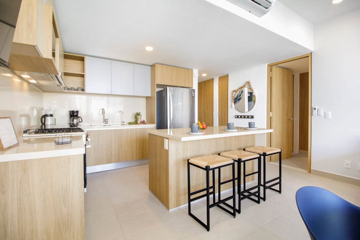 Jungle Sol - Image 6