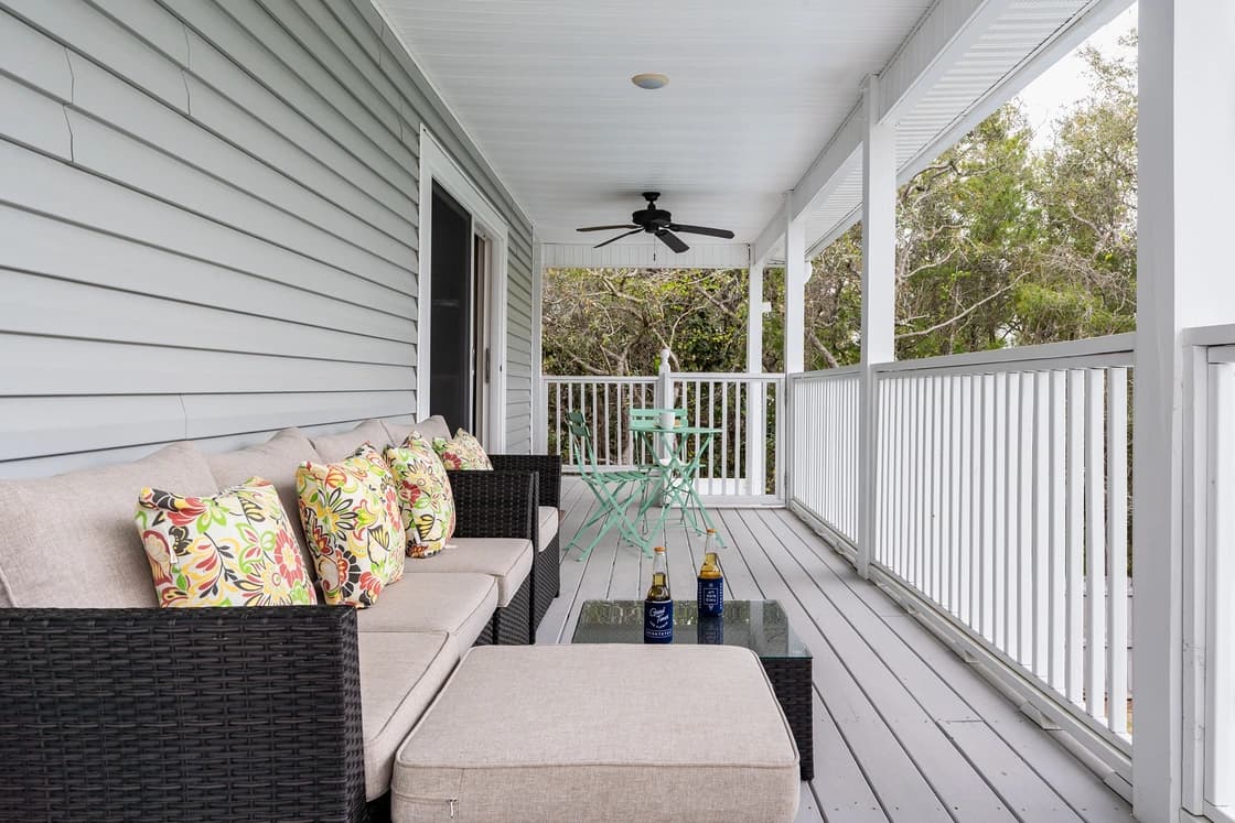 Dolphin Days - Image 20