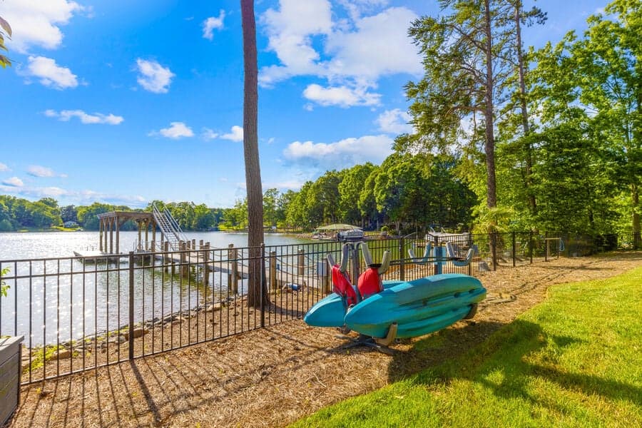 Mallard Vestige - Image 58