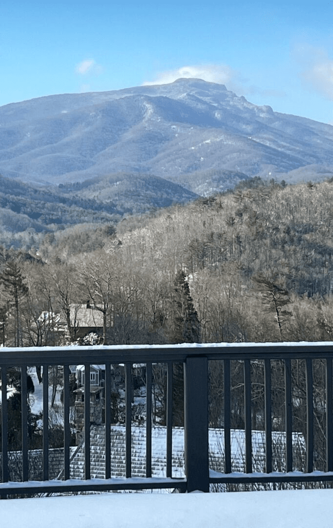 Hawthorn House - Image 2