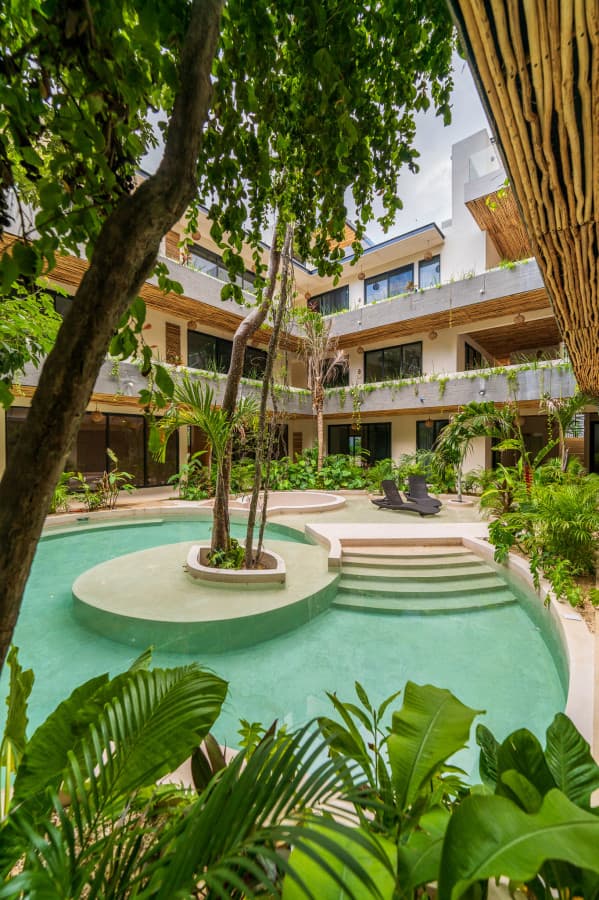 Noil Junglal - Image 4