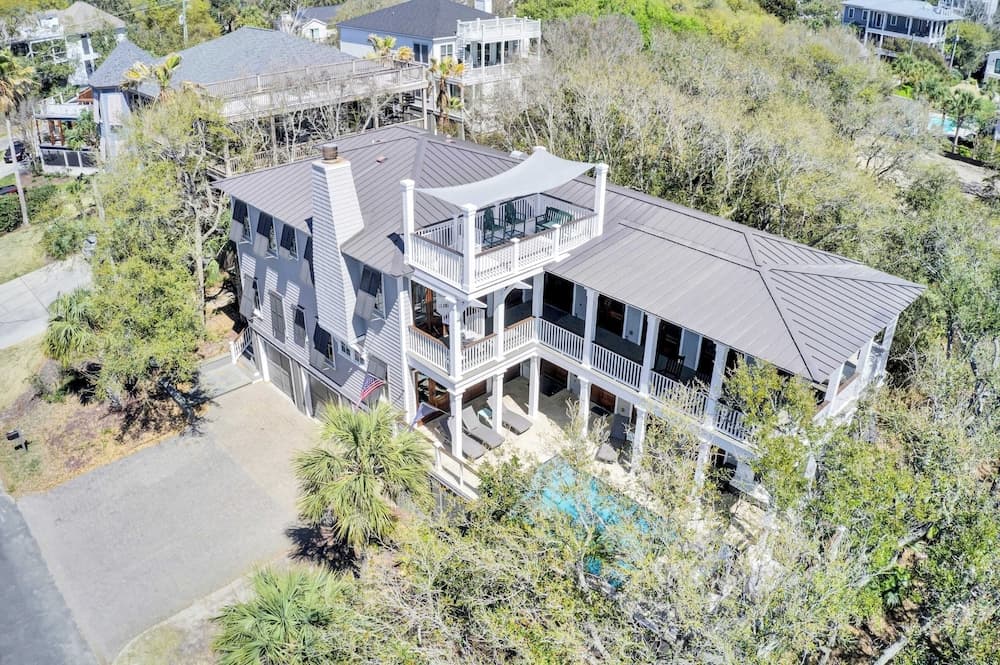 Palm #3301 - Image 1