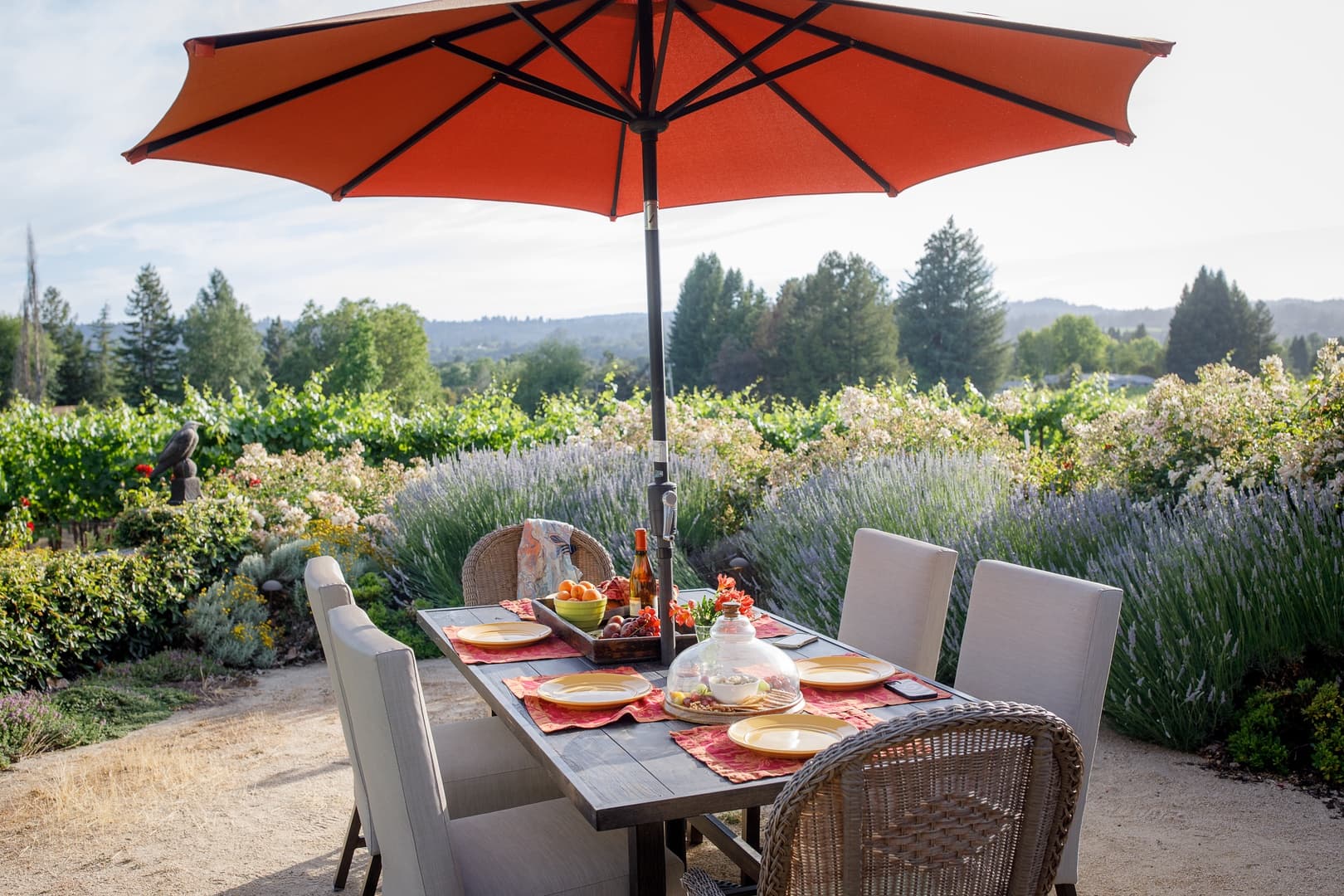 Dalya Estate - Image 3