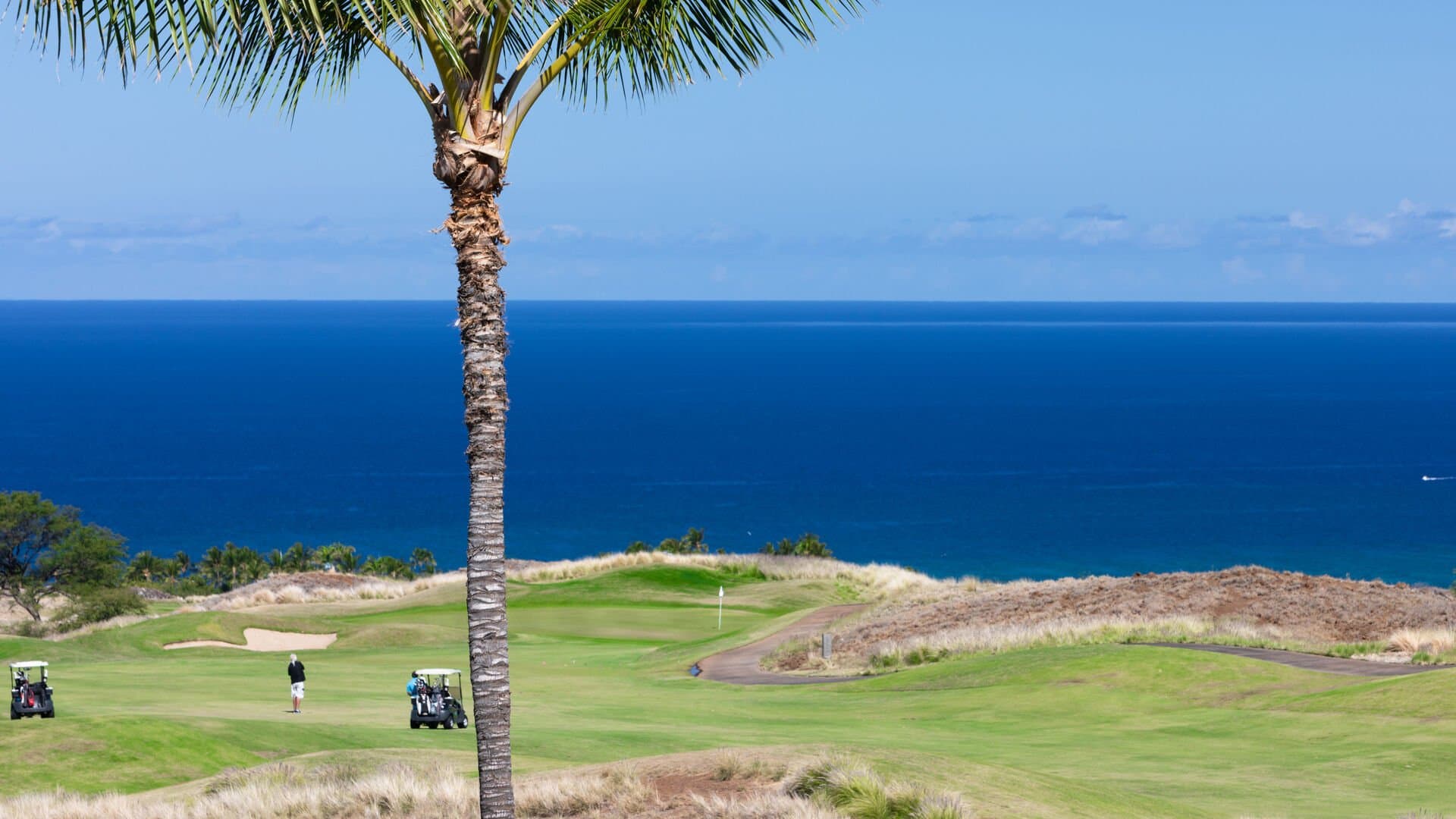 Endless Ocean Views - Image 42