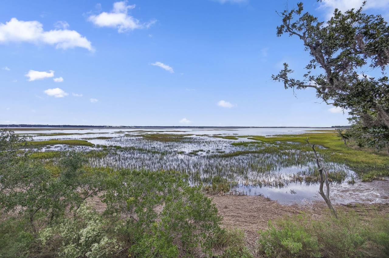 Marsh Hawk - Image 54