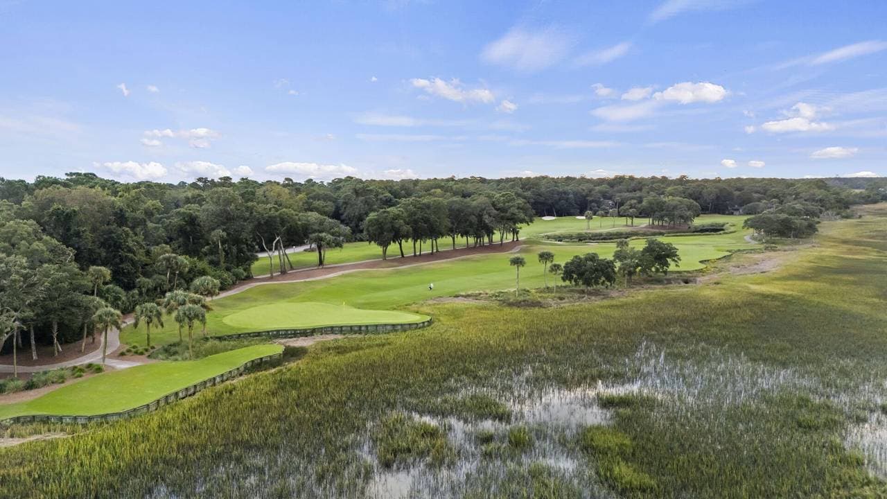 Marsh Hawk - Image 61