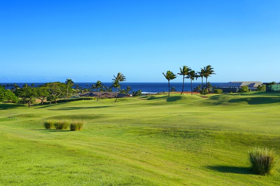 Hale Hanohano - Image 37