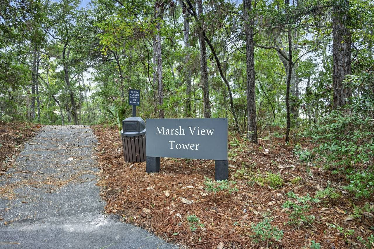 Marsh Hawk - Image 56