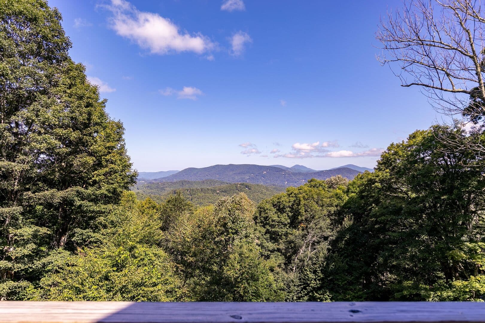 Rested Traveler - Image 59