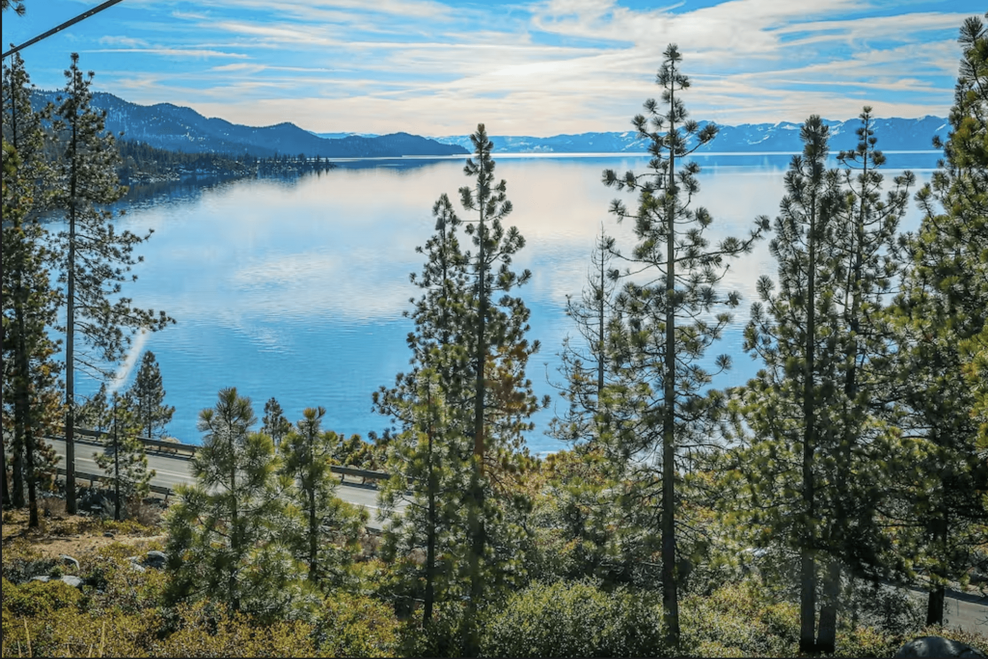 Among the Trees Home - Image 28