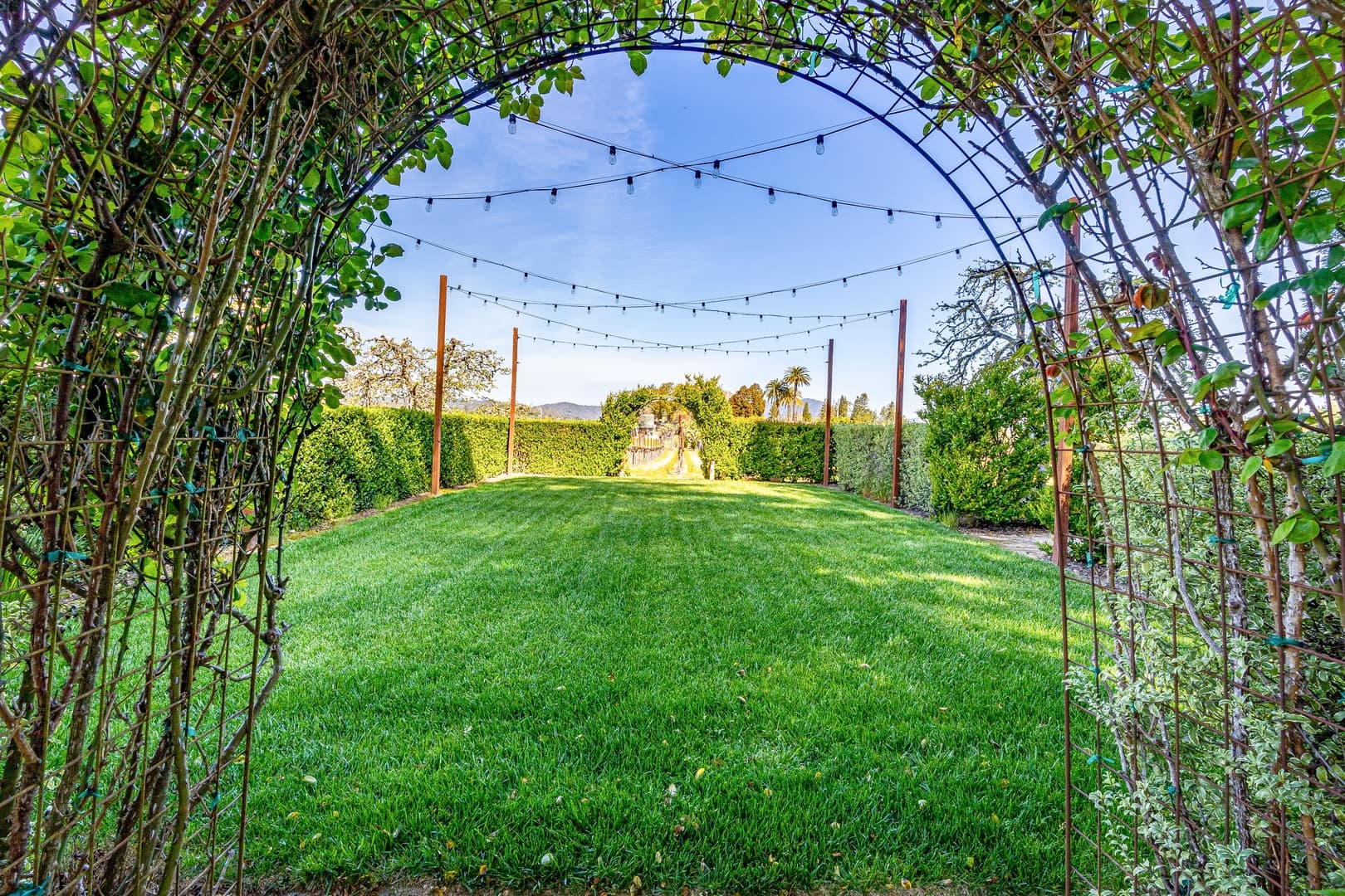 Guest House at Dalya Estate - Image 31