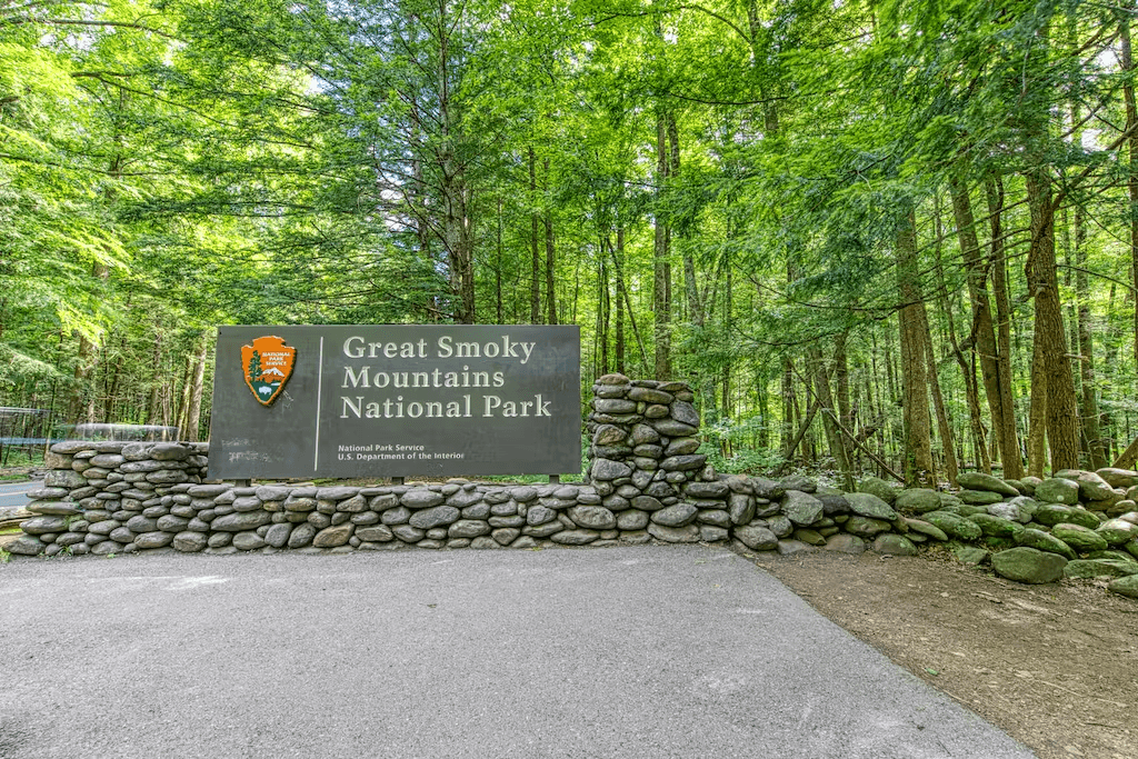 Cub Castle - Image 30