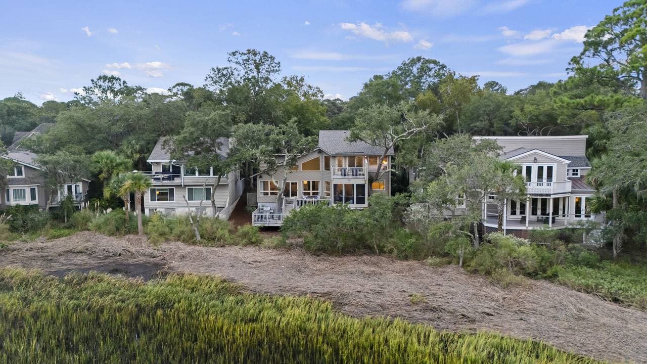 Marsh Hawk - Image 49