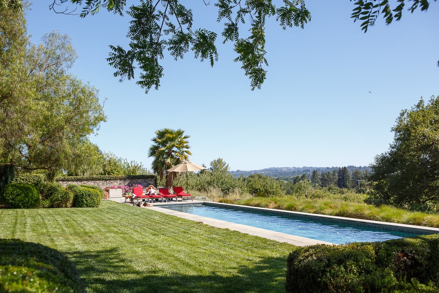 Dalya Estate - Image 59