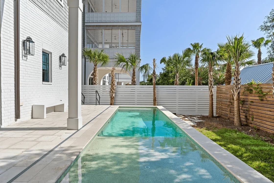 Endless Summer - Image 2