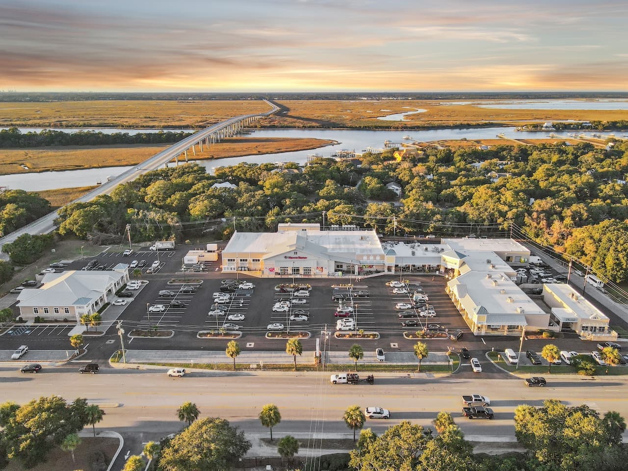 Palms Postcard - Image 57