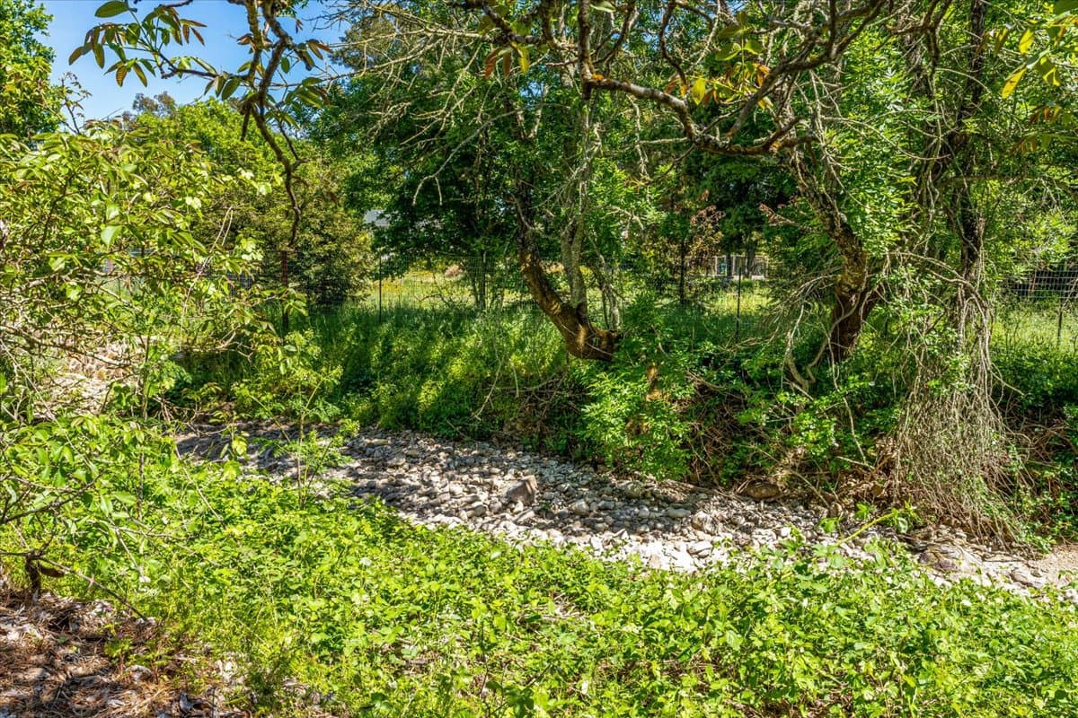 Benziger Family Estate - Image 72