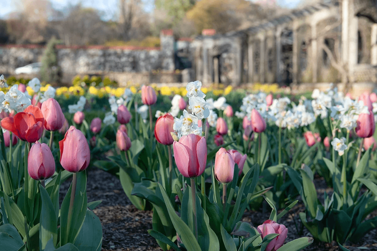 Asheville Getaway - Image 39