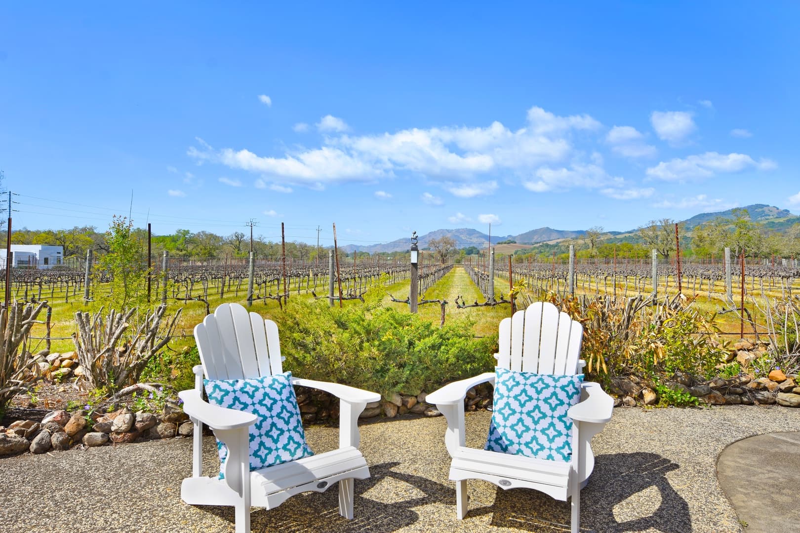 Vineyard Vista - Image 11