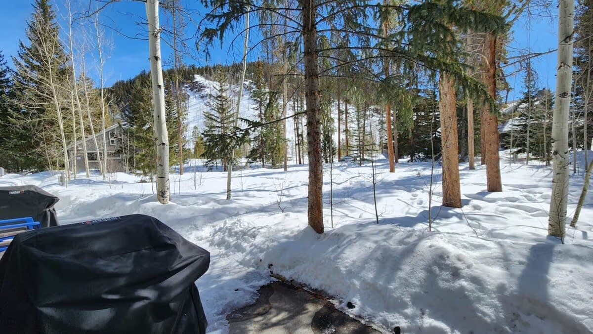 Gulchside Condo - Image 19