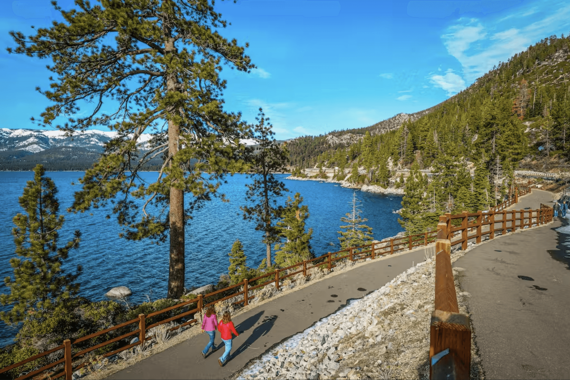 Among the Trees Home - Image 29