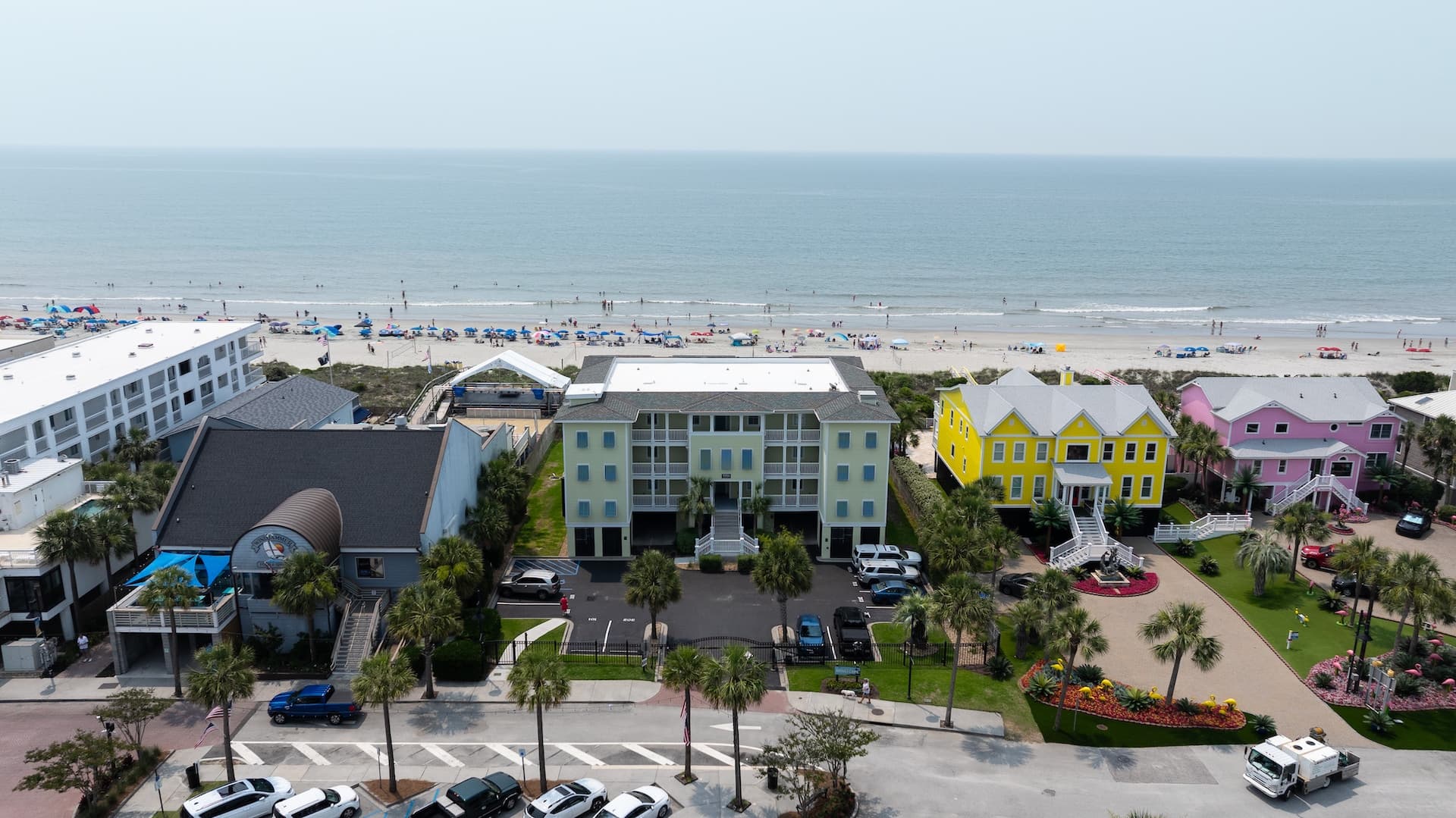 Palms Postcard - Image 38