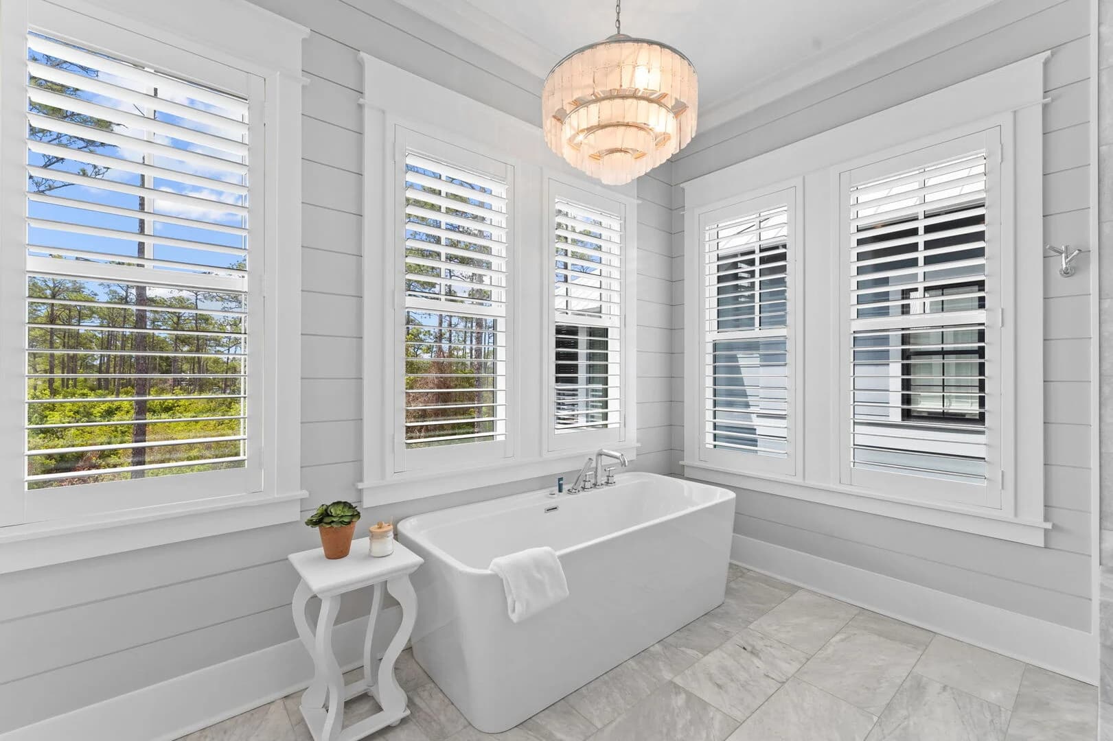 Sand Between Pines - Image 23