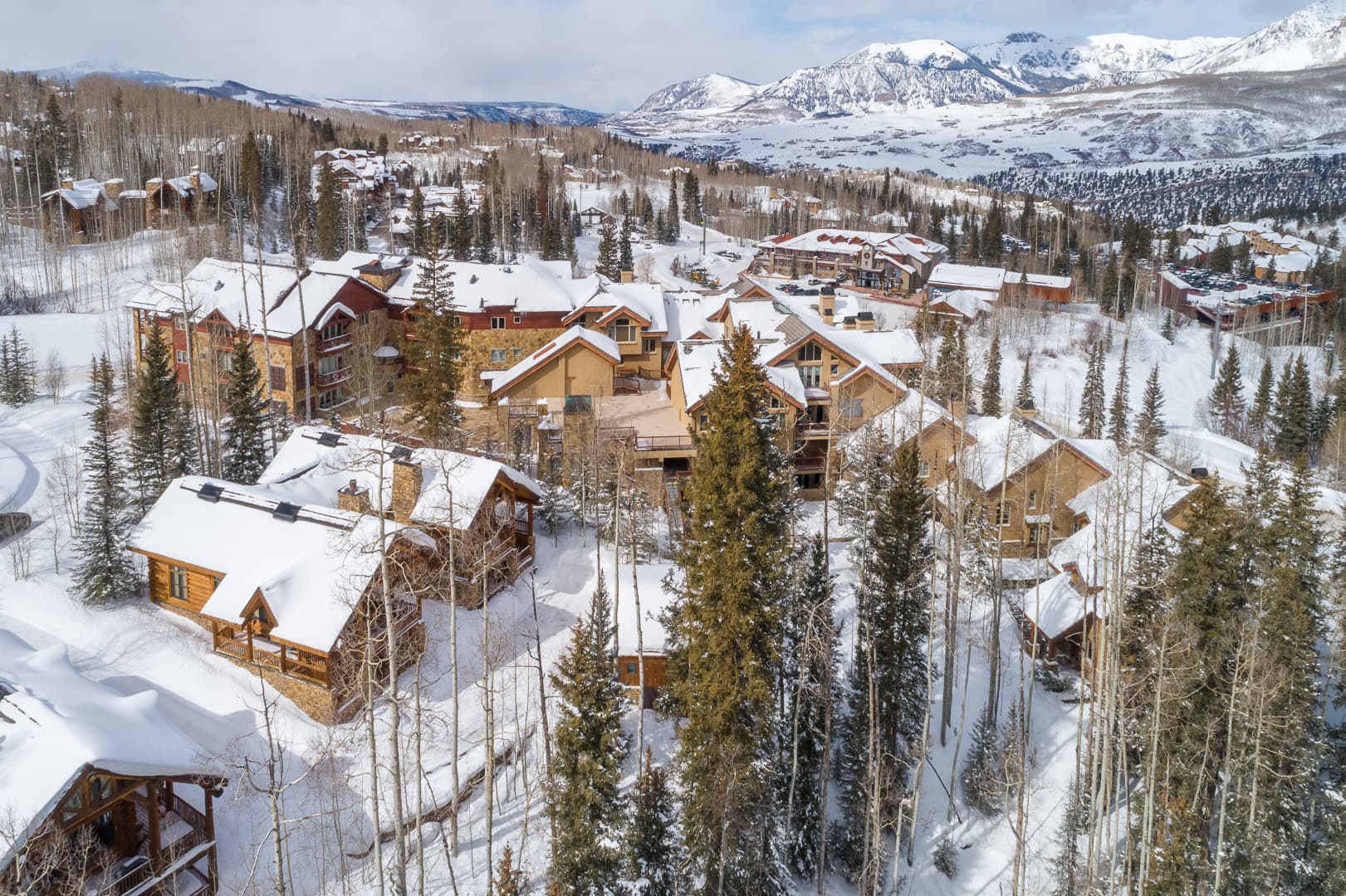 Wild Cat Lair - Image 39