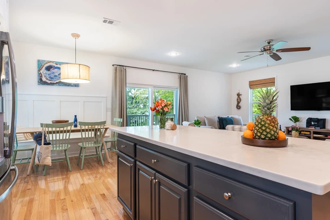 Dolphin Days - Image 8