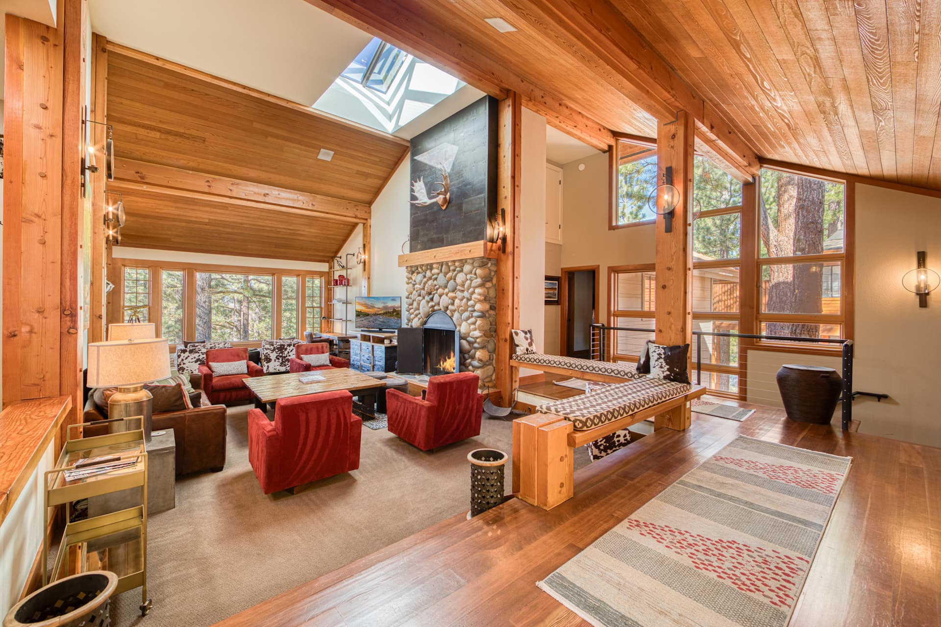 Skidder Trail - Image 4