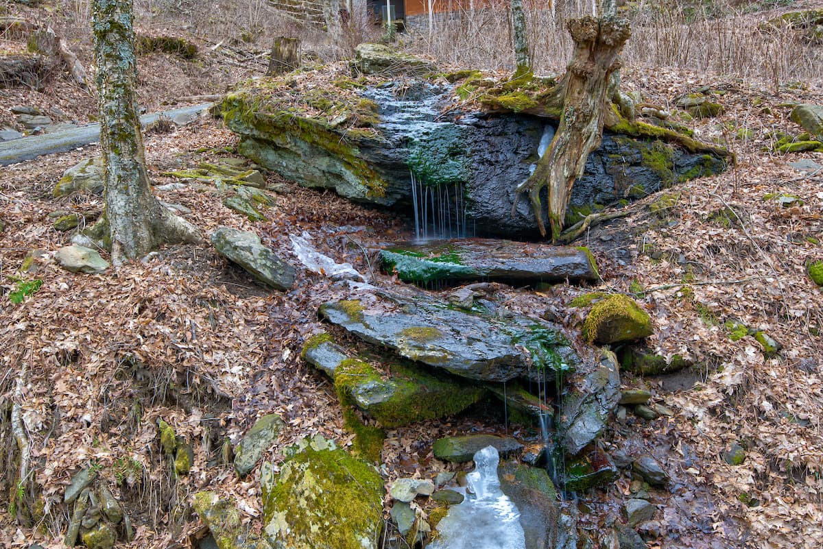 Rested Traveler - Image 43