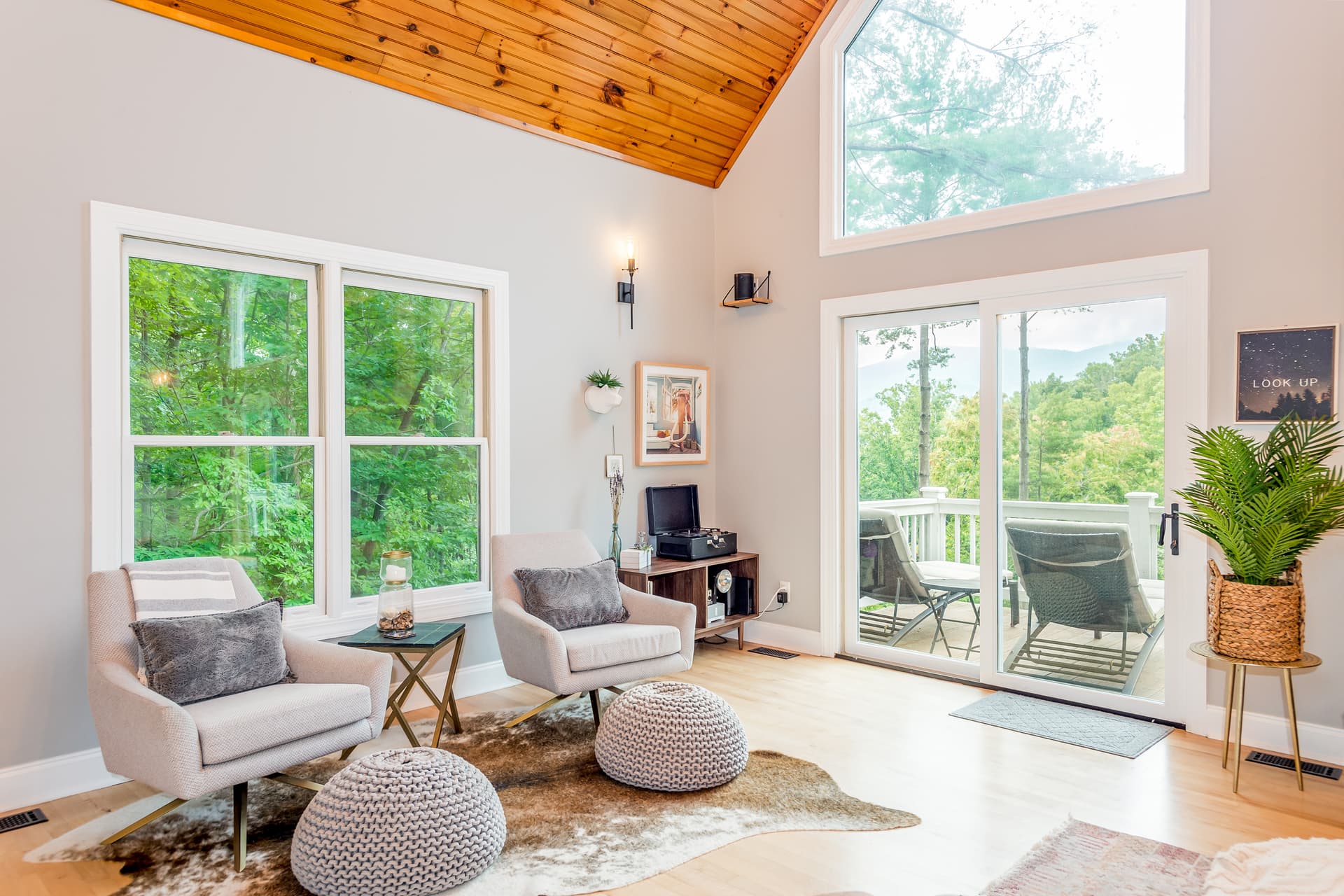 Woodland Dreams - Image 3