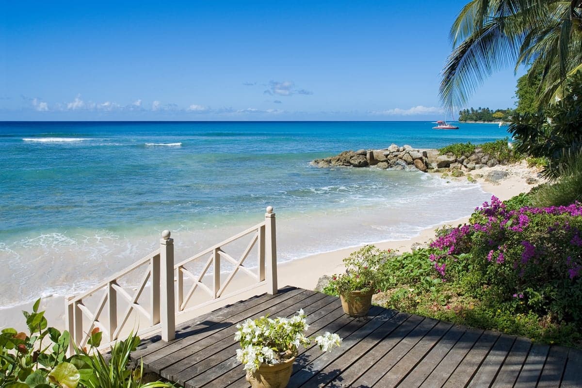 Coral Cove Sanctuary - Image 5