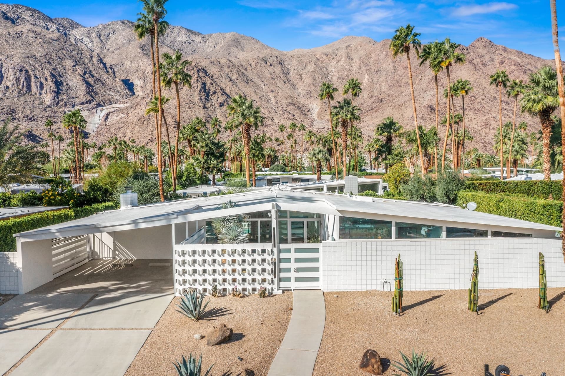 Playfair Palms - Image 1