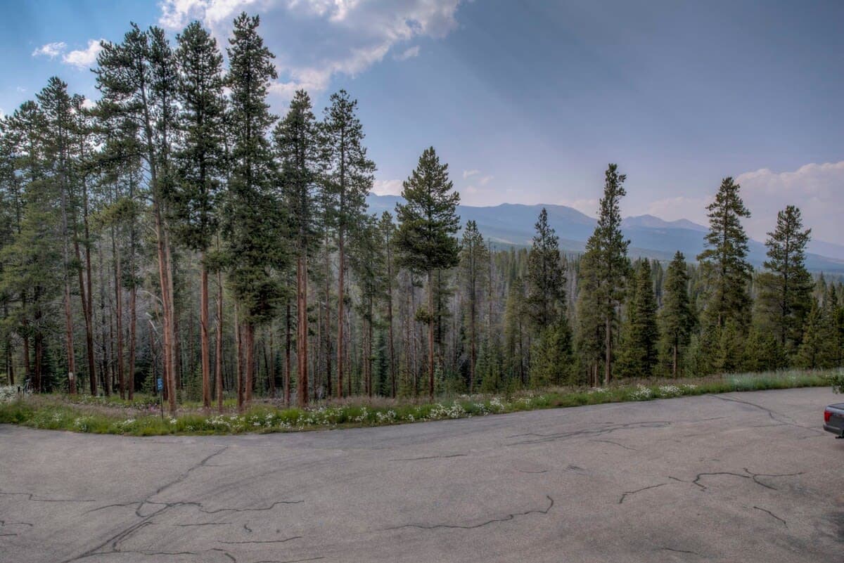 Peaks and Pines - Image 24