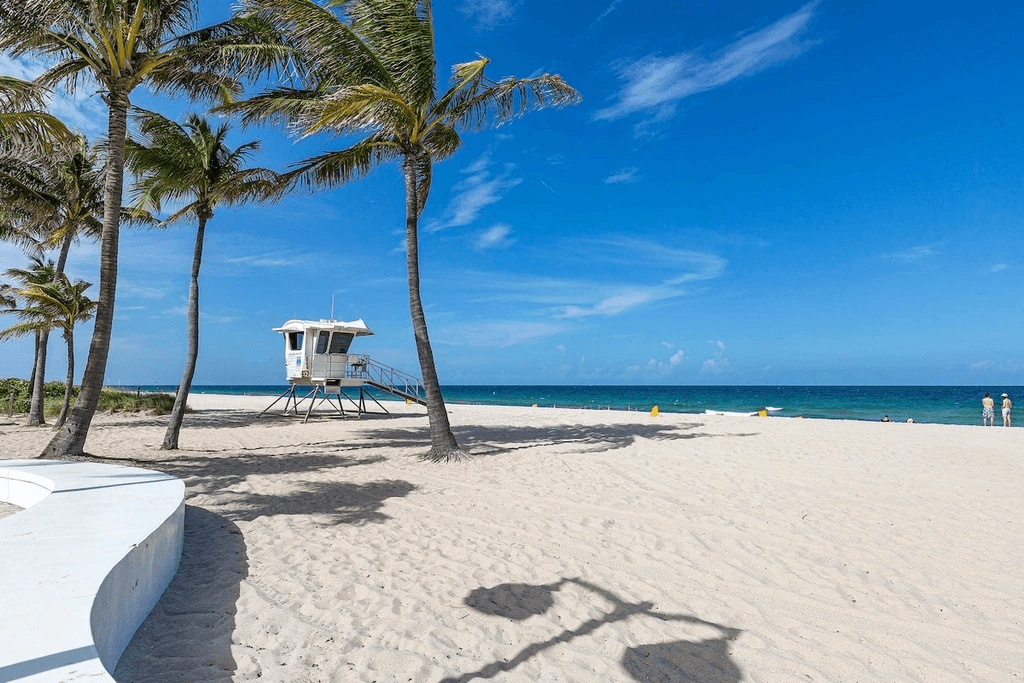 Solara #1606 - Image 5