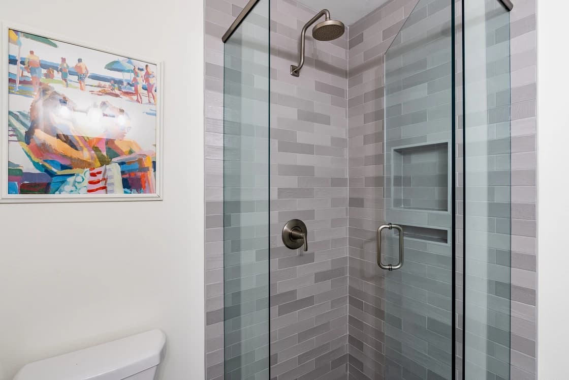 Dolphin Days - Image 16