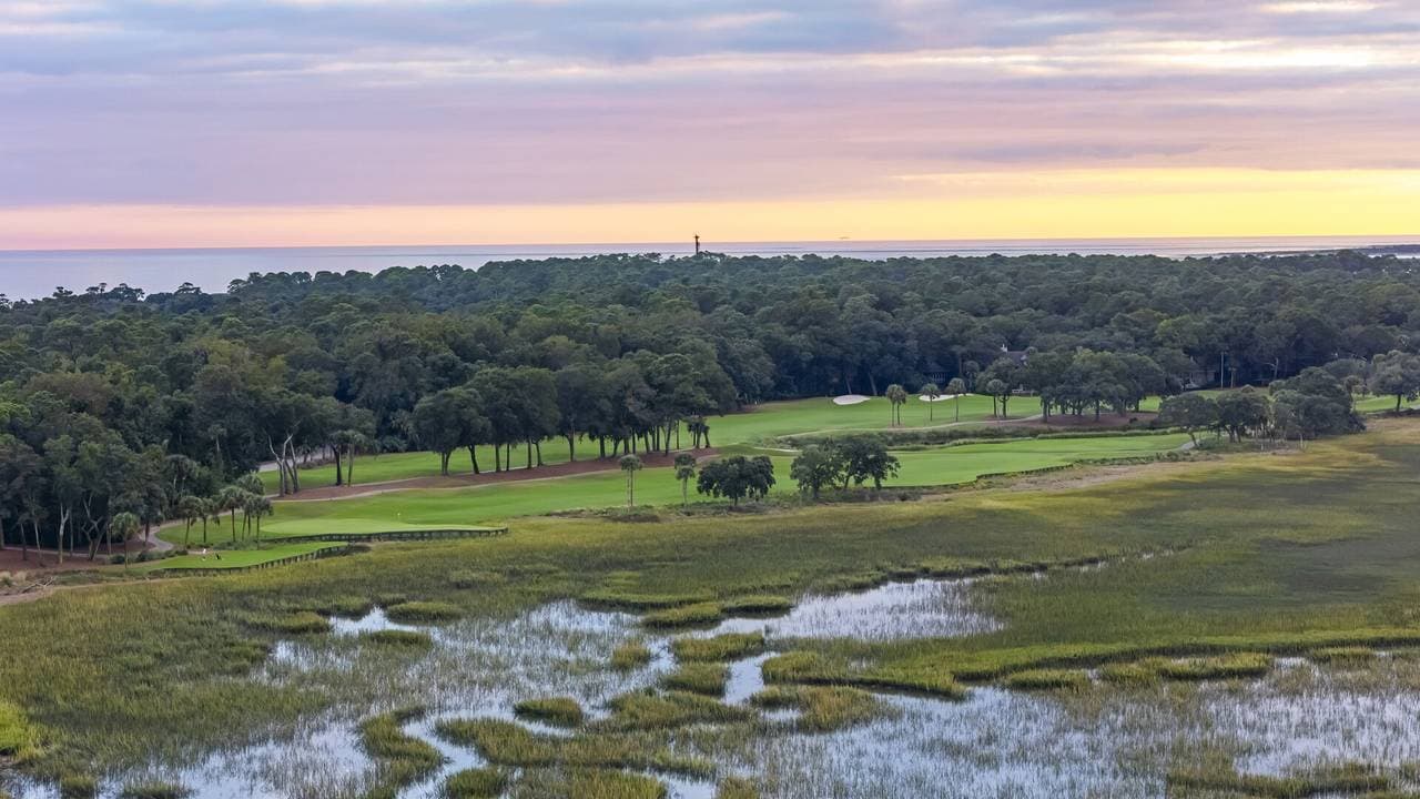 Marsh Hawk - Image 64