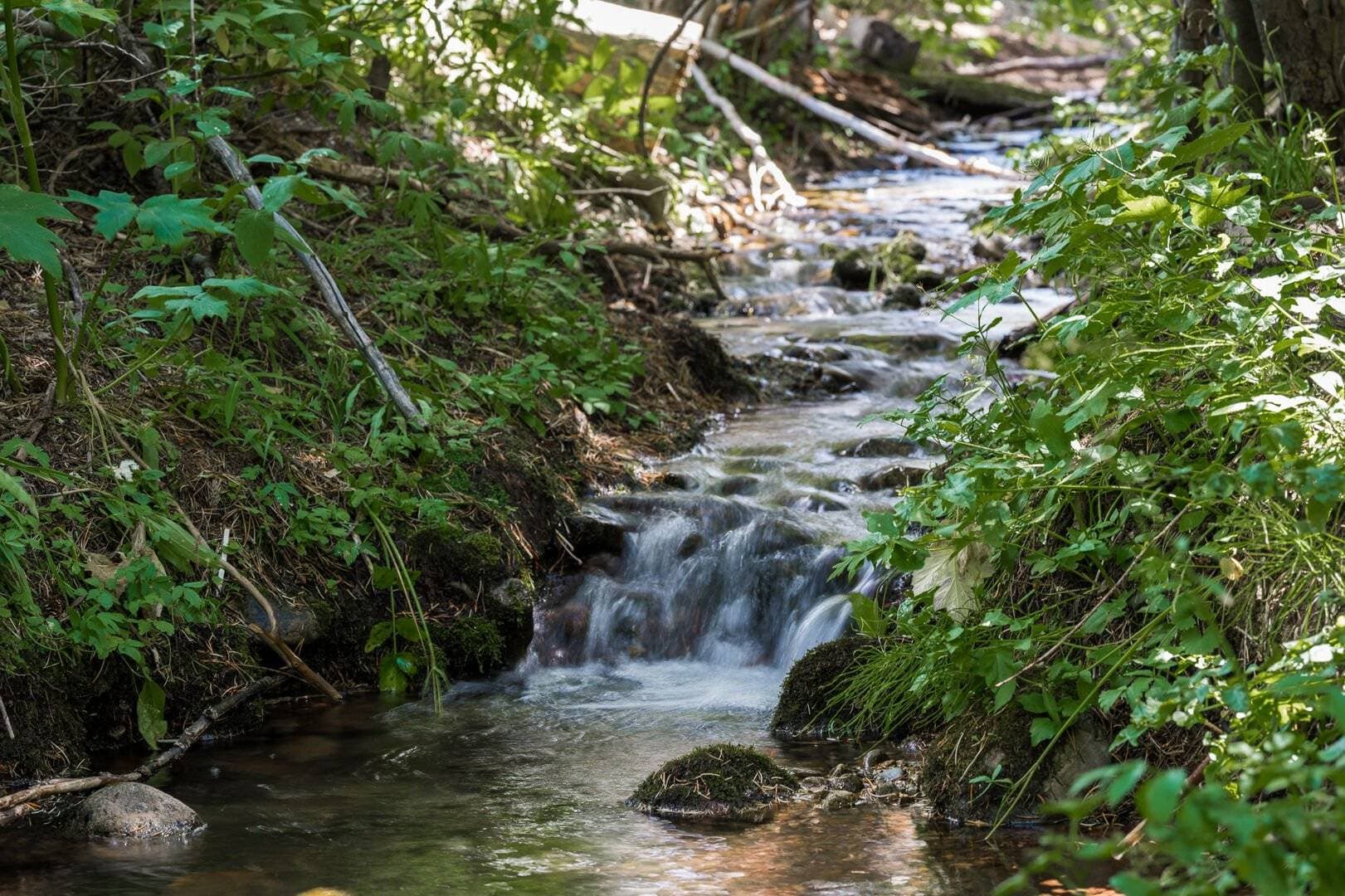 Mountain Manor - Image 83