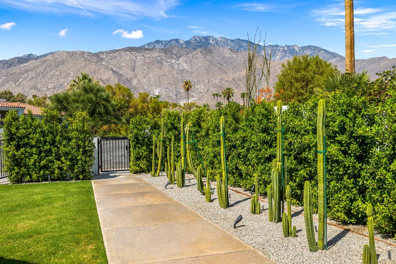 Palm Lighthouse - Image 44