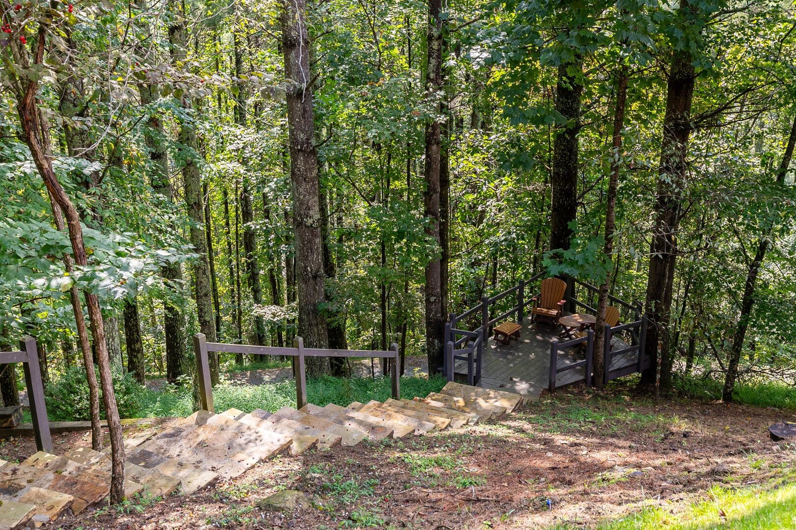 Papa's View - Image 50