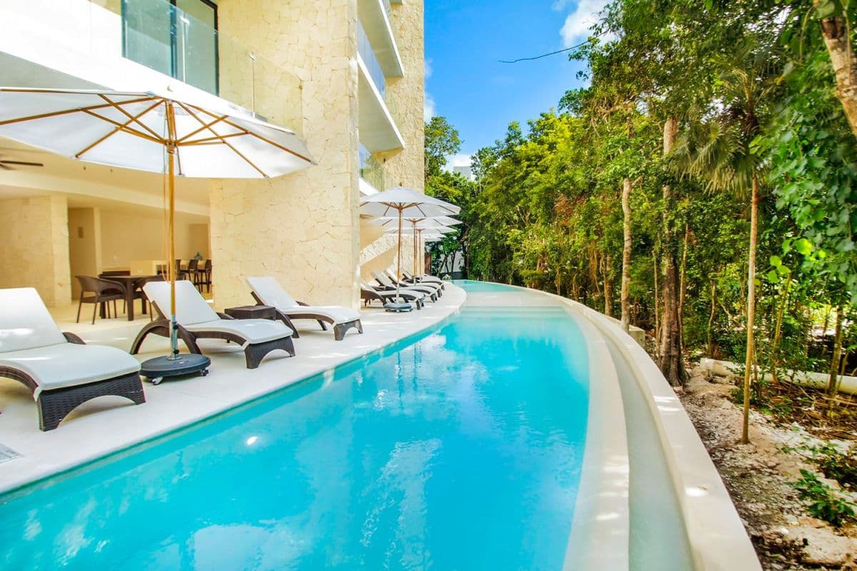 Jungle Sol - Image 1