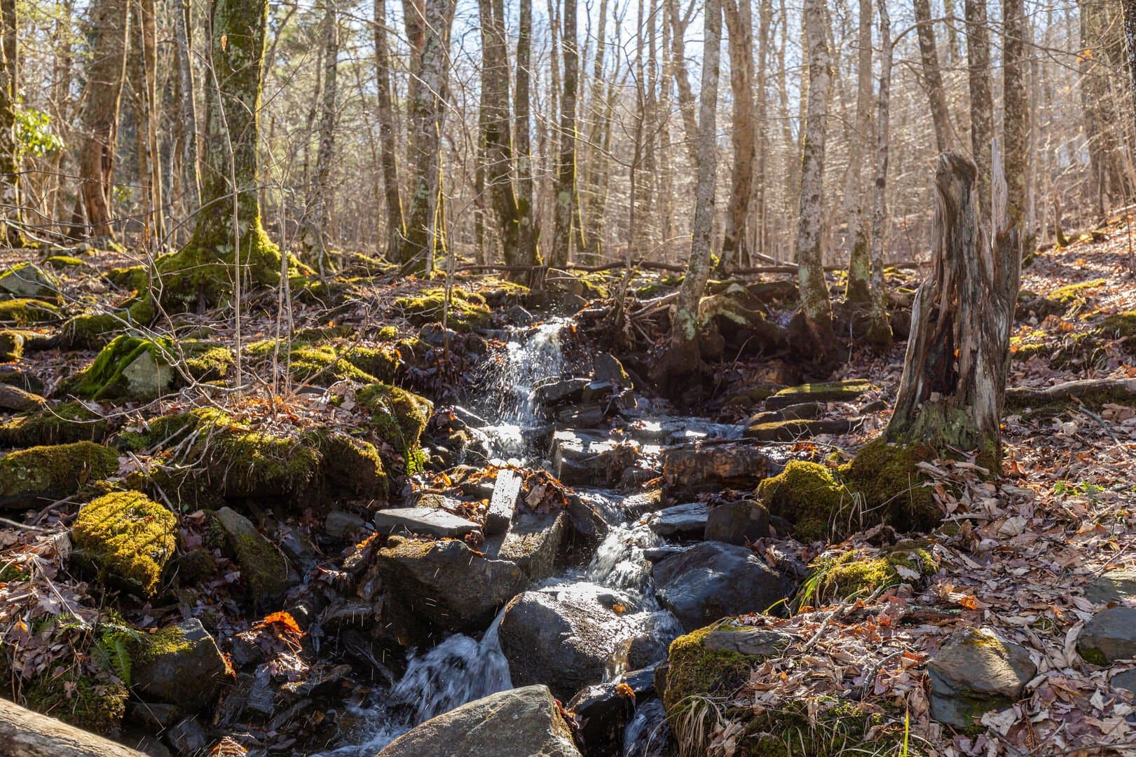 Adventure Creek - Image 21