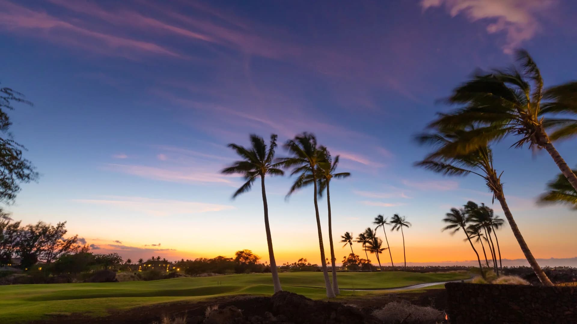 Family Tides - Image 61