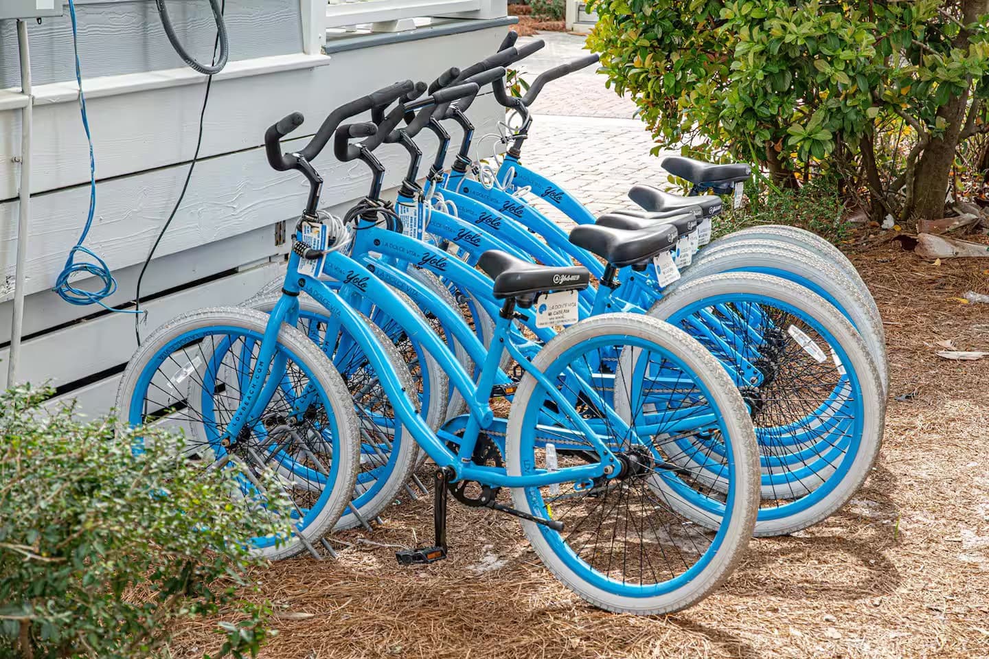 Micaseata - Image 48